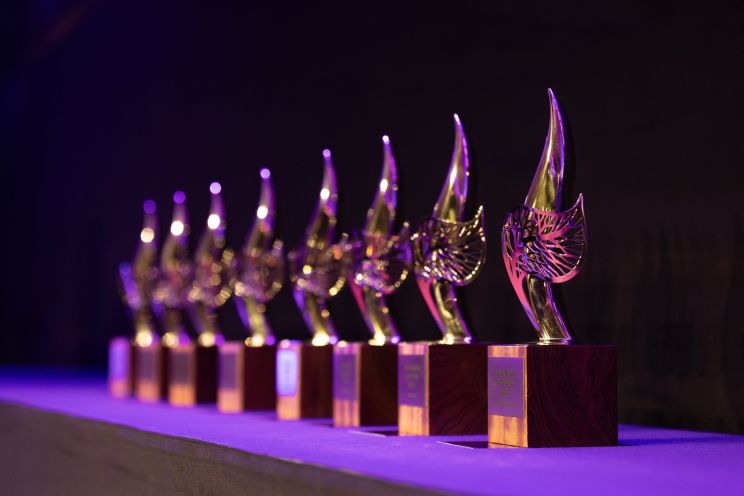 Attēls rakstam: Apbalvo 2025. gada labākos ārstus, balvu iegūst arī Ogres slimnīcas darbiniece