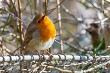 Attēls rakstam: Marta pēdējās dienās nav gaidāmi lieli nokrišņi