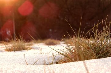 Attēls rakstam: Brīvdienās gaidāms lielākoties saulains laiks