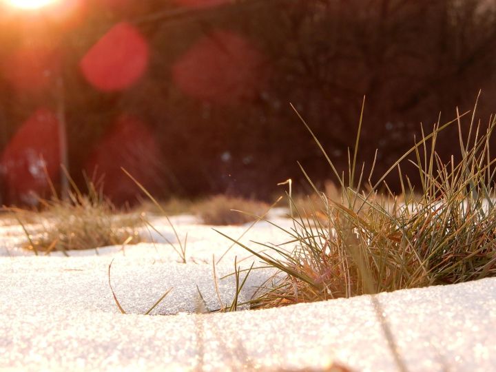 Brīvdienās gaidāms lielākoties saulains laiks