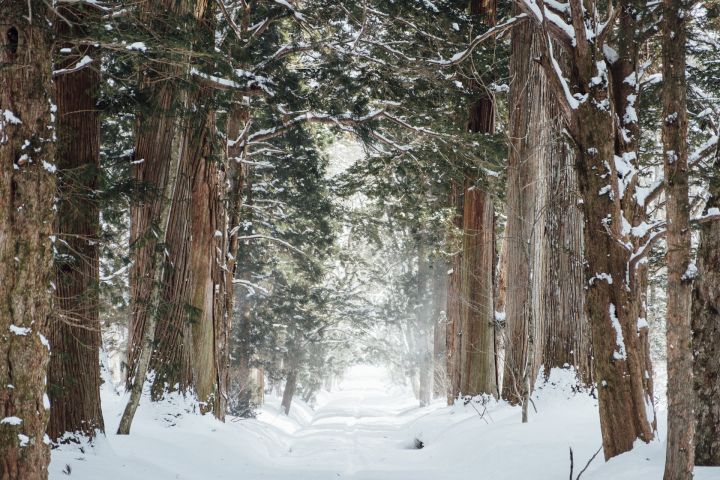 Februāra vidējā gaisa temperatūra Latvijā bijusi tuvu normai