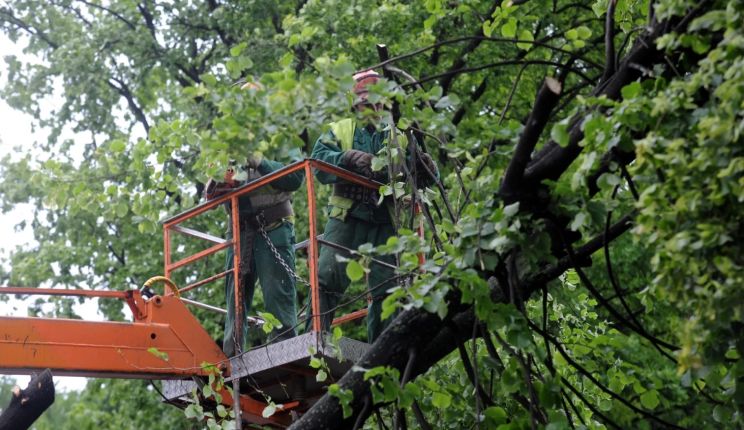 Attēls rakstam: Spēcīgas vēja brāzmas atstāj bez elektrības aptuveni 5500 iedzīvotāju