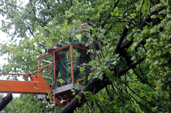 Spēcīgas vēja brāzmas atstāj bez elektrības aptuveni 5500 iedzīvotāju