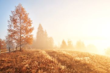 Attēls rakstam: Ogrē nedēļa sāksies ar saulainu dienu