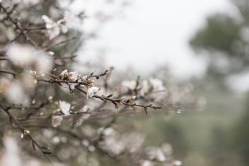 Attēls rakstam: Svētdien mākoņu daudzums būs neliels