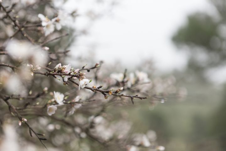 Svētdien mākoņu daudzums būs neliels