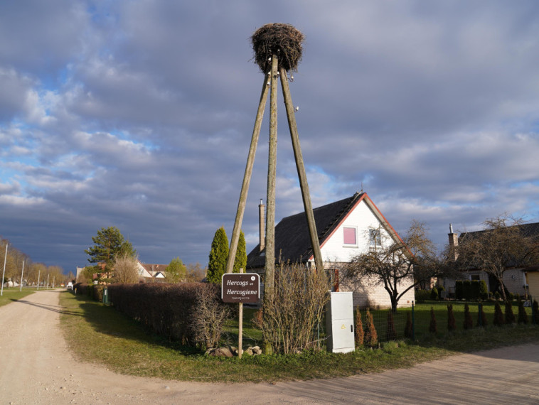 Meņģelieši devuši saviem stārķiem vārdus