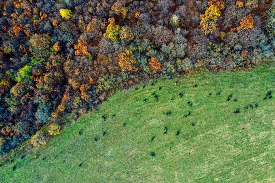 Nedēļas pirmā diena būs lietaina un vējaina