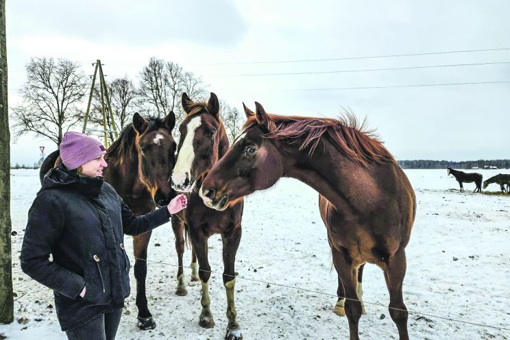 Attēls rakstam: Pie Lielvārdes zirgiem Zirga gadā