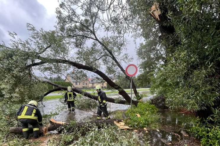 Attēls rakstam: Svētdien glābēji saņēmuši teju 100 izsaukumus spēcīgā vēja radīto postījumu dēļ, tostarp Ogres novadā