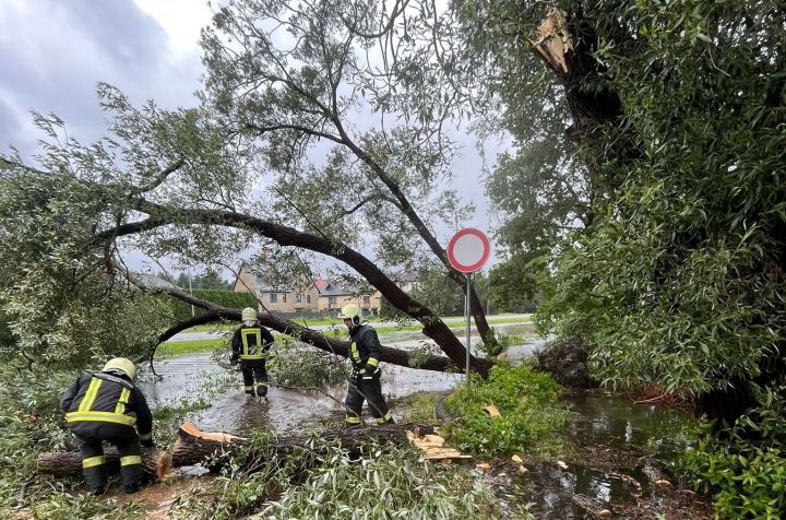 Svētdien glābēji saņēmuši teju 100 izsaukumus spēcīgā vēja radīto postījumu dēļ, tostarp Ogres novadā