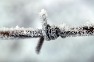 Attēls rakstam: Naktī uz svētdienu valdīs stiprs sals un vietām veidosies migla