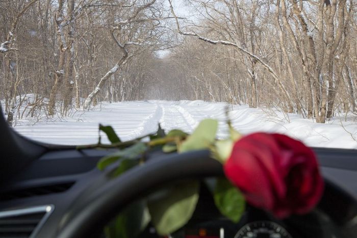 Voldemārs Lauciņš: Mana Valentīndienas vēstule
