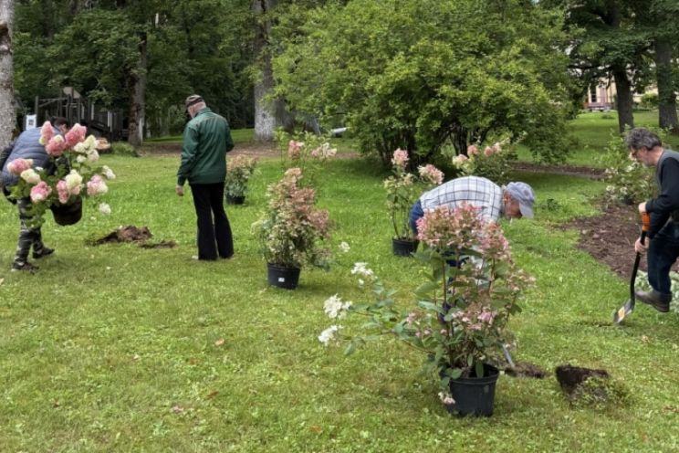 Attēls rakstam: FOTO: Vēsturiskais Taurupes muižas parks piedzīvo pārmaiņas – kas tajā top?