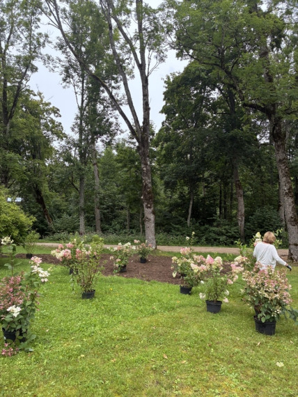 FOTO: Vēsturiskais Taurupes muižas parks piedzīvo pārmaiņas – kas tajā top?