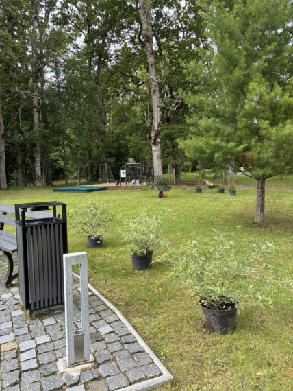 FOTO: Vēsturiskais Taurupes muižas parks piedzīvo pārmaiņas – kas tajā top?