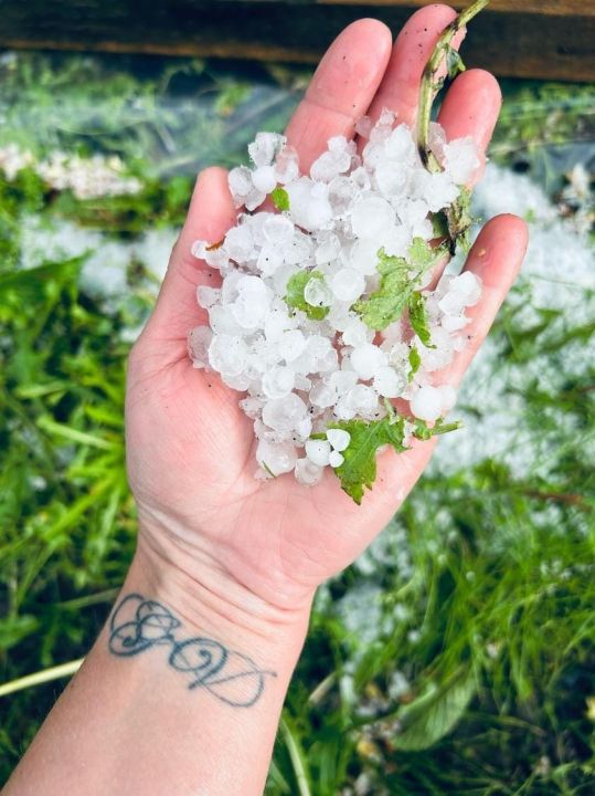  Daudzviet Latvijā piedzīvota spēcīga krusa
