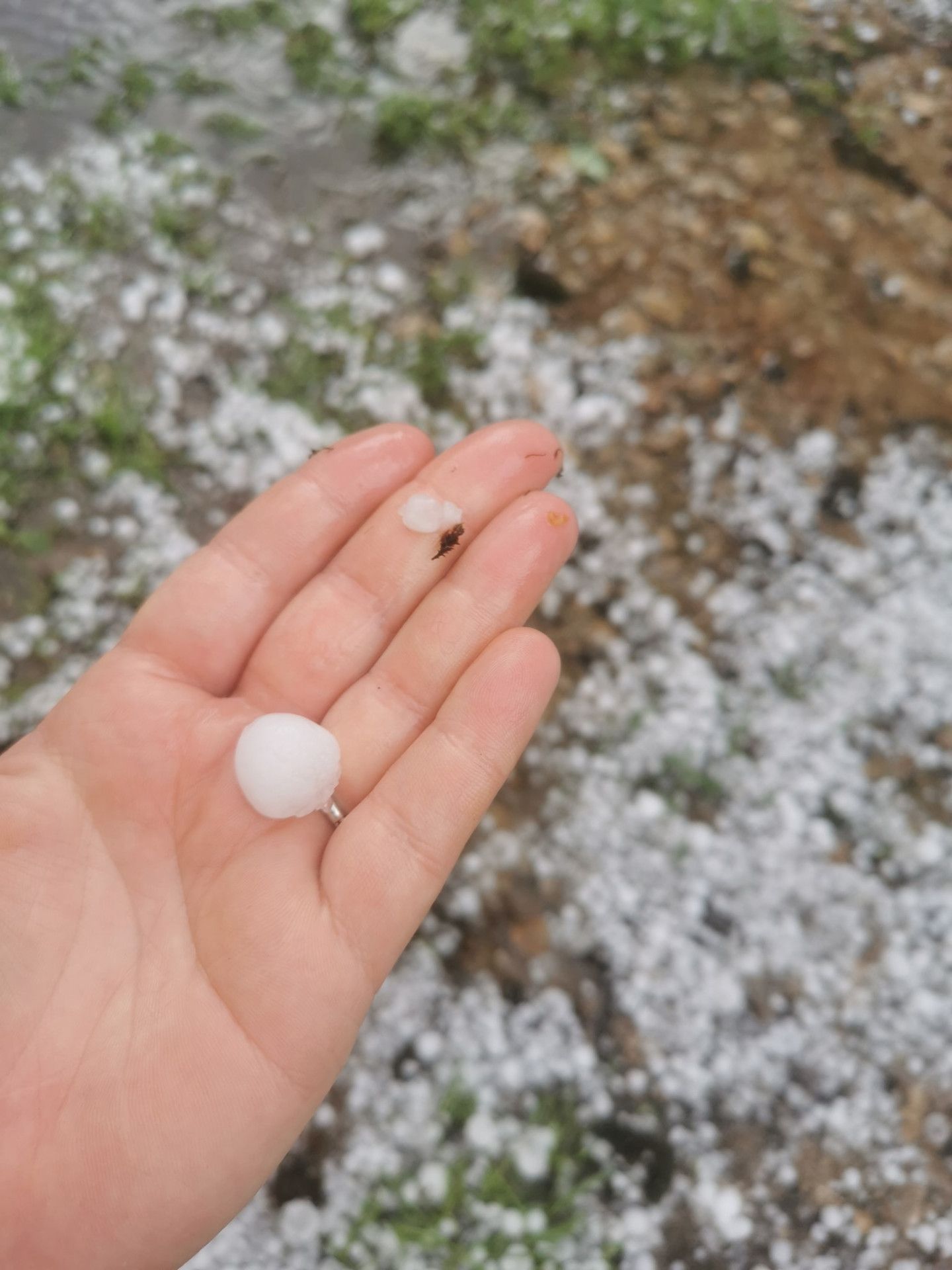 Foto: Daina Grīnberga