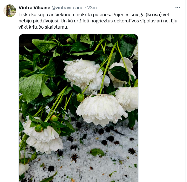 Ekrānuzņēmums no "X"