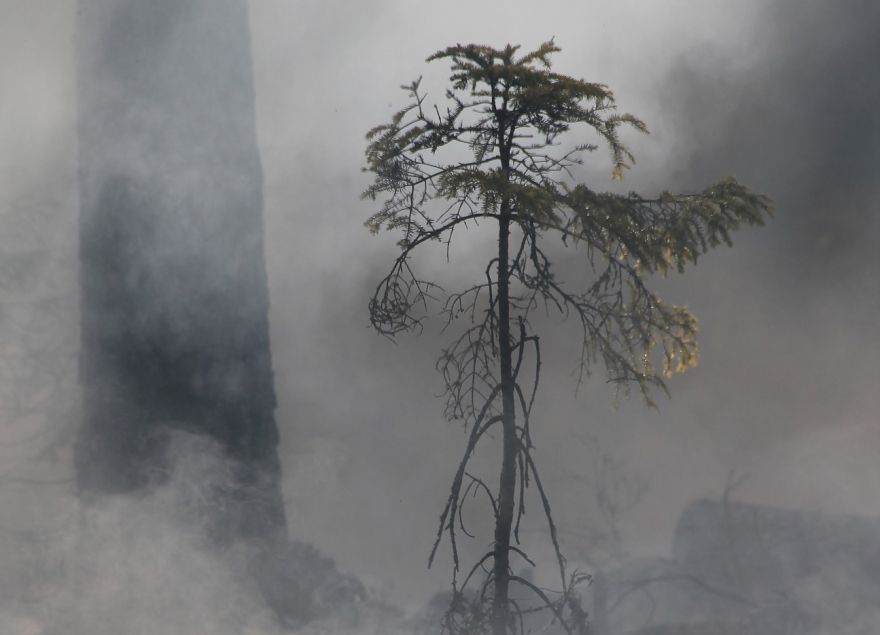 Tīnūžu pagastā dzēsts kūlas ugunsgrēks; Ikšķilē degoši zari rada piedūmojumu