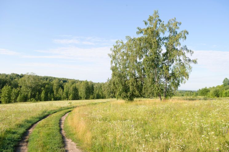 Attēls rakstam: Vasaras pēdējais mēnesis sāksies ar ļoti siltu dienu