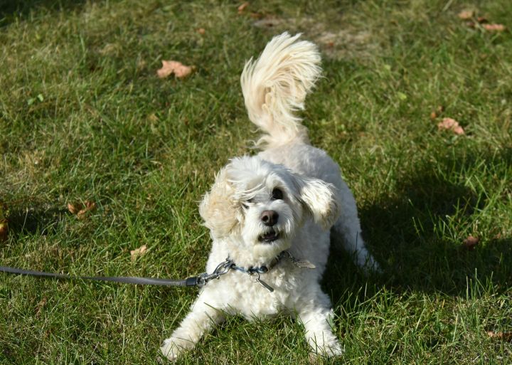 Nedēļas pirmajā dienā pūtīs auksts vējš, bet spīdēs saule
