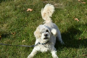 Attēls rakstam: Nedēļas pirmajā dienā pūtīs auksts vējš, bet spīdēs saule