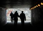 Attēls rakstam: Ogres novada dome piešķir 76 000 eiro maģistrālā ūdensvada pārbūvei Ikšķilē