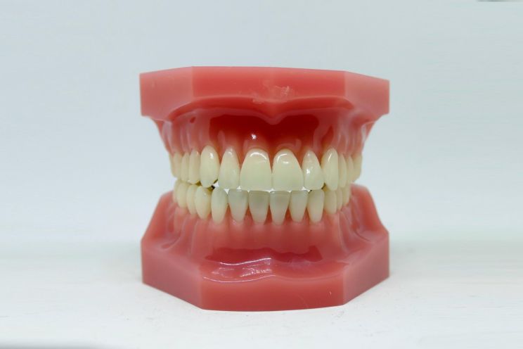 Attēls rakstam: Alkohola māktā Lolita Ogrē iekož policistam