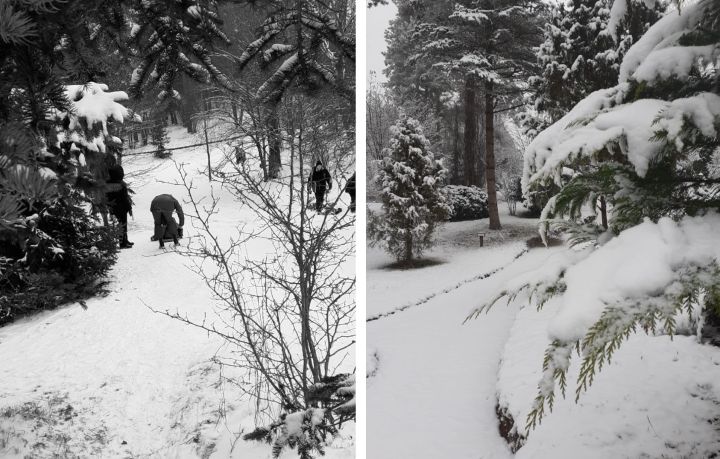 Špakovska parkā – ziemas prieki ar bērnības garšu