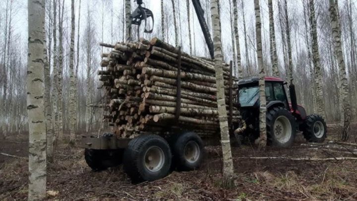 Sācies mežsaimniecības lieguma periods