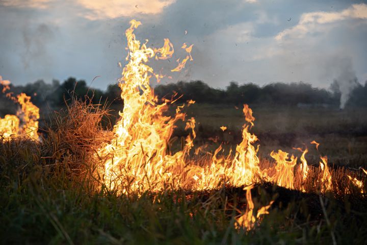 Glābēji: Sākusies kūlas ugunsgrēku sezona; nedēļas nogalē dzēsti 57 kūlas ugunsgrēki