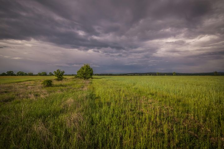 Ceturtdien Ogrē gaiss iesils līdz +10 grādiem