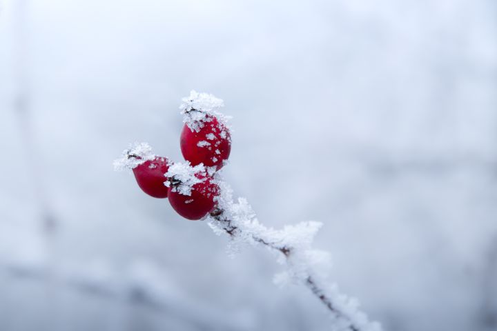 Trešdien gaidāms sauss laiks