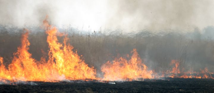 Kārtējais pavasaris ar deguma smārdu