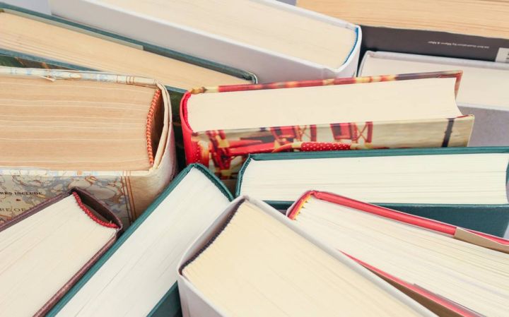 Gaidāmi Lielie lasīšanas svētki; Vidzemes lasīšanas vēstnese - Madlienas skolotāja