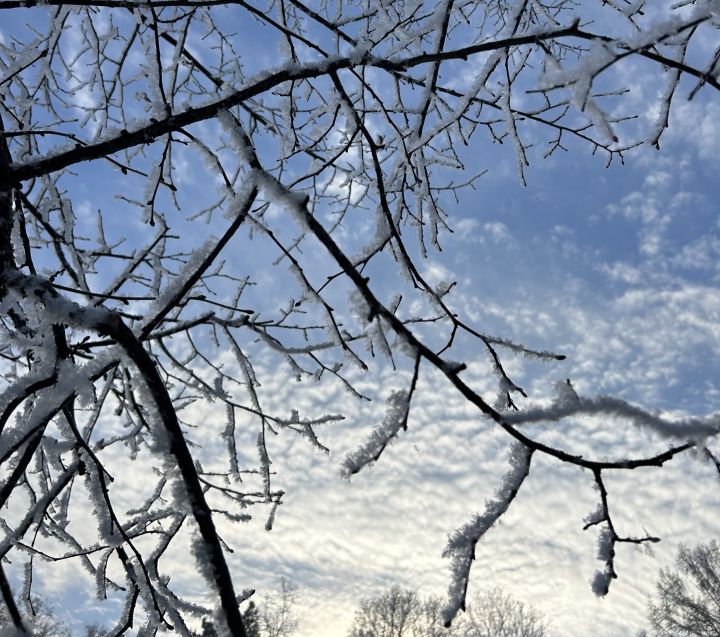Arī nākamo nedēļu prognozē aukstu