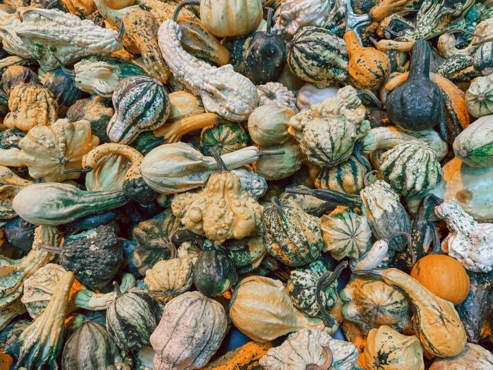 Oktobra otrajā dienā starp mākoņiem spīdēs saule