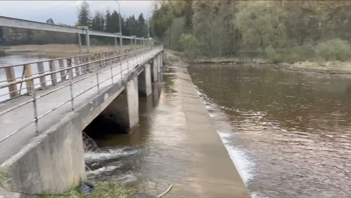 Biedrība: “Šādi bojā aiziet tūkstošiem zivju…”
