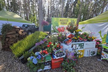 Attēls rakstam: Kūdras nozare cer atgūt iepriekšējos gados zaudēto