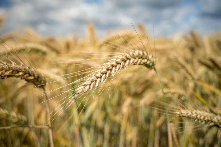 Nedēļas otrā diena būs visai mākoņaina, bet silta
