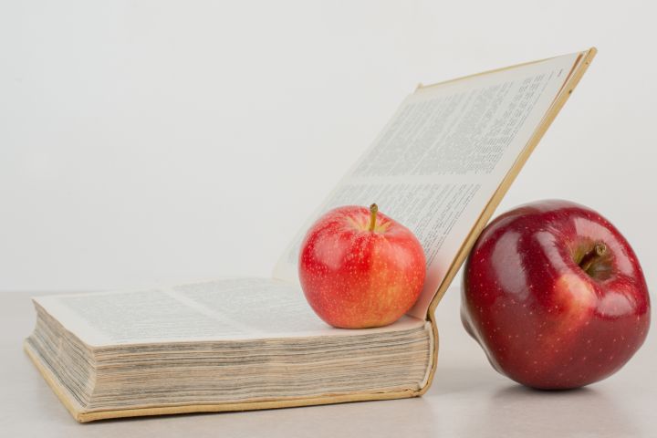 LELB Svētdienas skolu nozare aicina pieteikties skolotājus pilnveides kursos