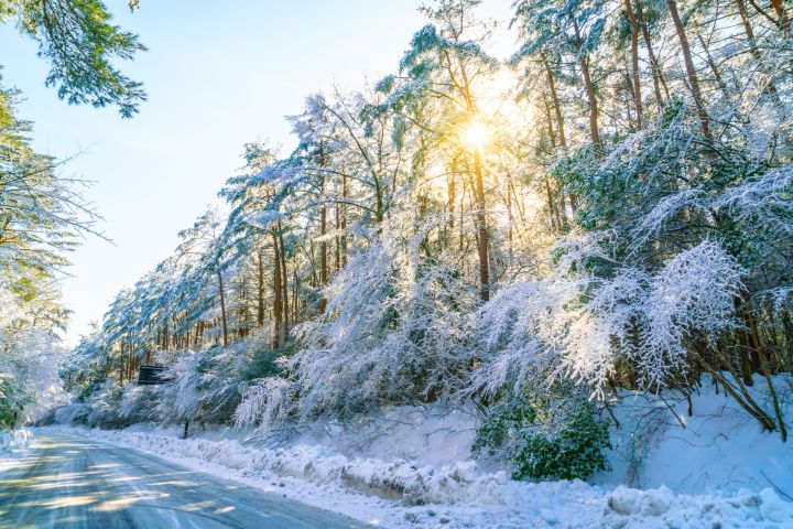 Piektdien iespējama gaisa temperatūra virs nulles