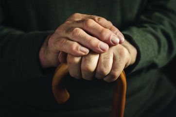 Attēls rakstam: “Viņš no manis neko negribēja un neko neprasīja.”  Fotogrāfs Sokolovs dalās ar emocionālu stāstu
