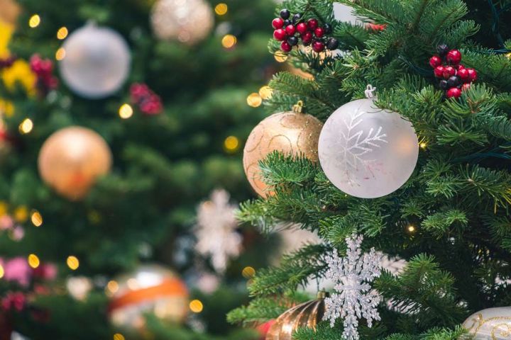 Taurupes pagasta Ziemassvētku egles iedegšana