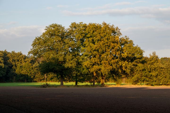Mēneša pirmā diena gaidāma lielākoties saulaina