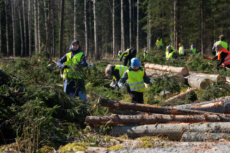 FOTO: Pie Ikšķiles, Kaibalas un Klintaines izvietos 450 mākslīgās nārsta ligzdas zivīm