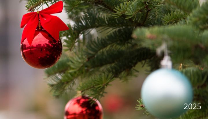 Ogresgala pagasta iedzīvotāji vienojas akcijā "Neesi svētkos viens"