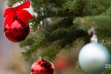 Attēls rakstam: Ogresgala pagasta iedzīvotāji vienojas akcijā "Neesi svētkos viens"