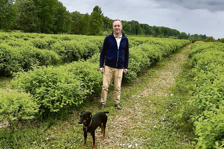 Attēls rakstam: "Lauberes ogu" saimnieks Aleksejs Fomičevs un viņa divas desmitgades melleņu valstībā